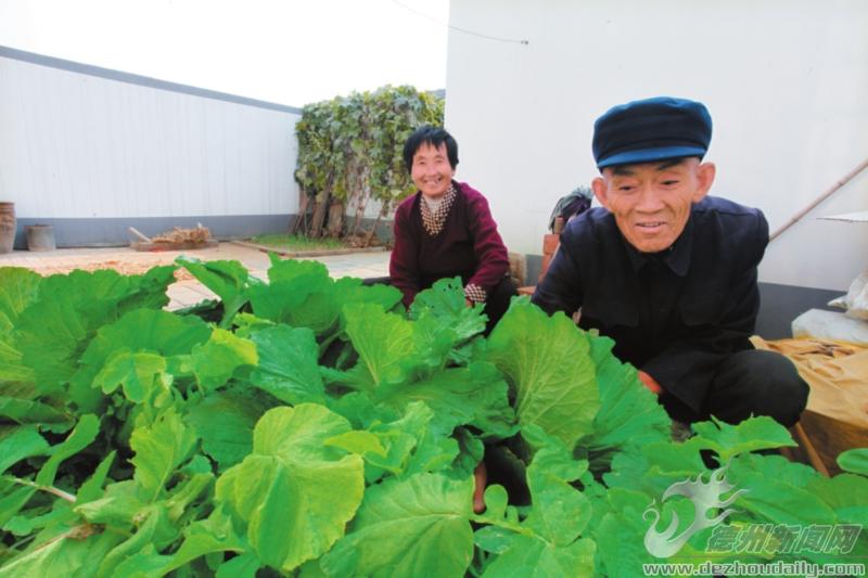 30余萬農(nóng)民實(shí)現(xiàn)家門口就業(yè)，農(nóng)民年人均純收入達(dá)10850元