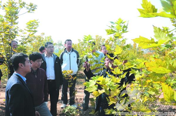 學員們來到苗圃基地，聽合作社理事長楊玉池（右一）講解剪枝方法。